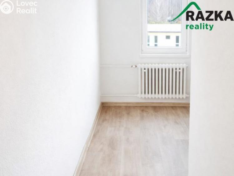 Pronájem bytu 2+1 Konstantinovy Lázně, Školní č. 3