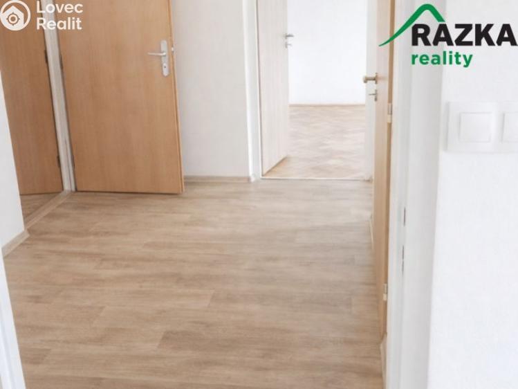 Pronájem bytu 2+1 Konstantinovy Lázně, Školní č. 6