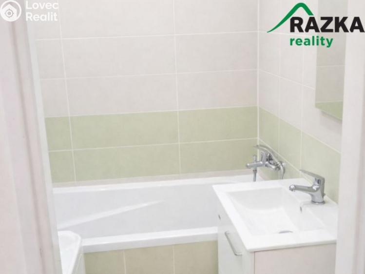 Pronájem bytu 2+1 Konstantinovy Lázně, Školní č. 7