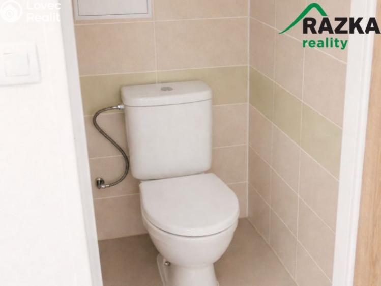 Pronájem bytu 2+1 Konstantinovy Lázně, Školní č. 8