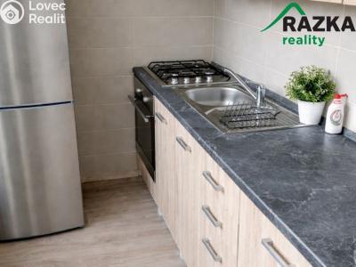 Pronájem bytu 2+1 Konstantinovy Lázně, Školní č. 2