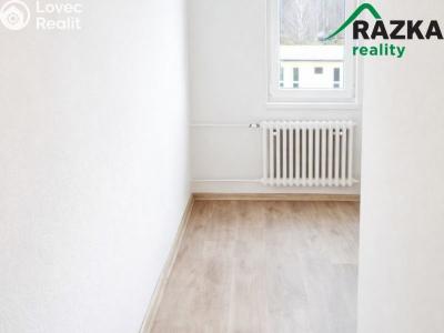 Pronájem bytu 2+1 Konstantinovy Lázně, Školní č. 3