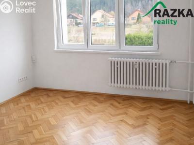 Pronájem bytu 2+1 Konstantinovy Lázně, Školní č. 4