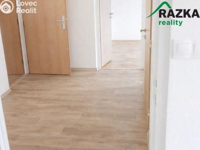 Pronájem bytu 2+1 Konstantinovy Lázně, Školní č. 6