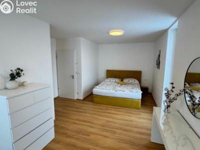 Продажа семейного дома Syrovice, Syrovice č. 6