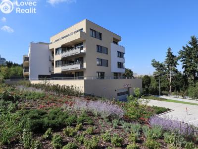 Rent apartment 1+KK Praha, Klapálkova č. 1