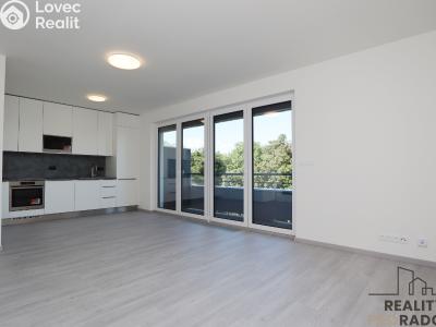 Rent apartment 1+KK Praha, Klapálkova č. 2