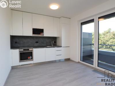 Rent apartment 1+KK Praha, Klapálkova č. 3