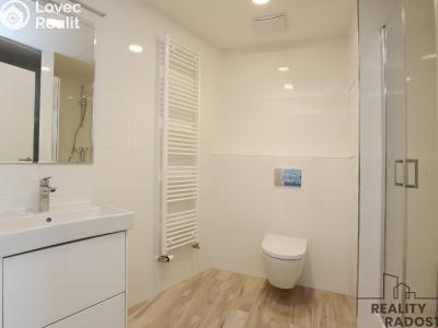 Rent apartment 1+KK Praha, Klapálkova č. 4