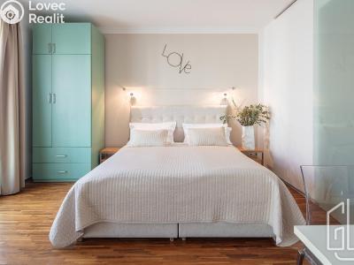 Rent apartment 1+KK Praha, Holečkova č. 1