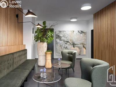 Rent apartment 1+KK Praha, Holečkova č. 2