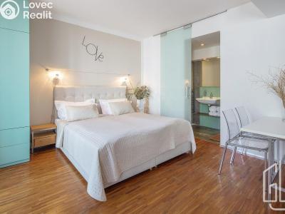 Rent apartment 1+KK Praha, Holečkova č. 3