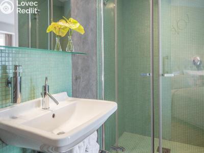 Rent apartment 1+KK Praha, Holečkova č. 6