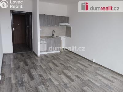 Pronájem bytu 1+KK Karviná, Studentská č. 3