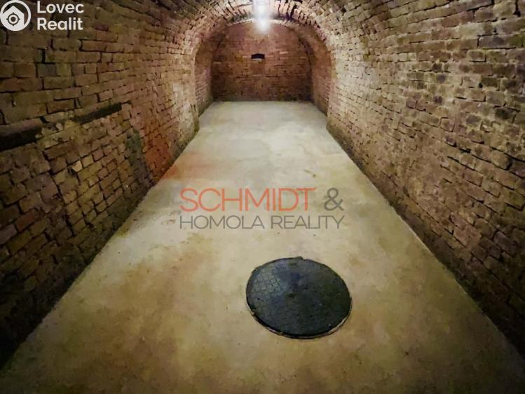 Оренда торгового приміщення Velké Pavlovice, Sokolská 1224/1 č. 10