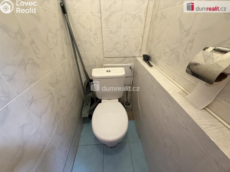 Pronájem bytu 1+1 Lužec nad Vltavou, Jiráskova č. 11