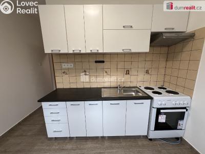 Pronájem bytu 1+1 Lužec nad Vltavou, Jiráskova č. 5