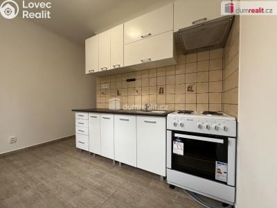 Pronájem bytu 1+1 Lužec nad Vltavou, Jiráskova č. 6