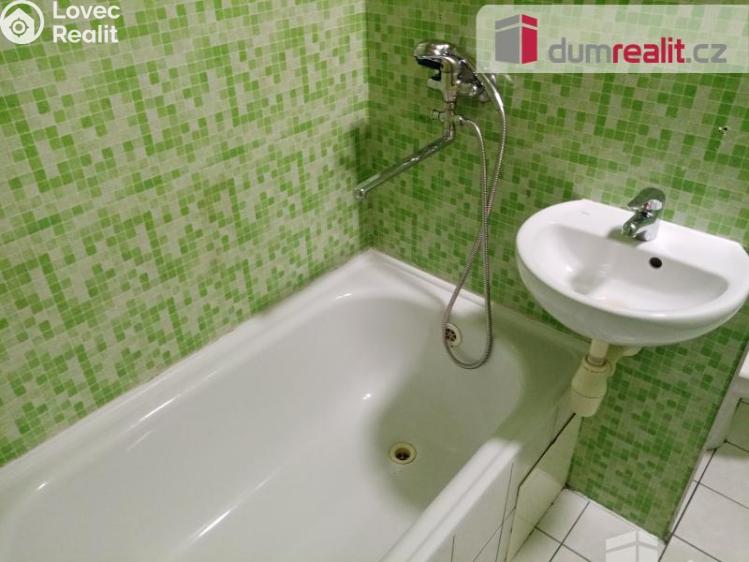 Pronájem bytu 1+1 Děčín, Gagarinova č. 5