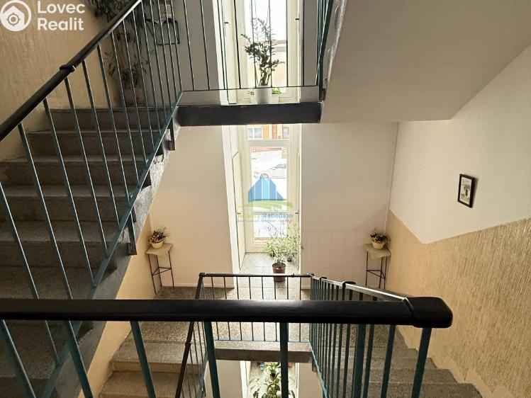 Rent apartment 1+1 Františkovy Lázně, Anglická 297/30 č. 10