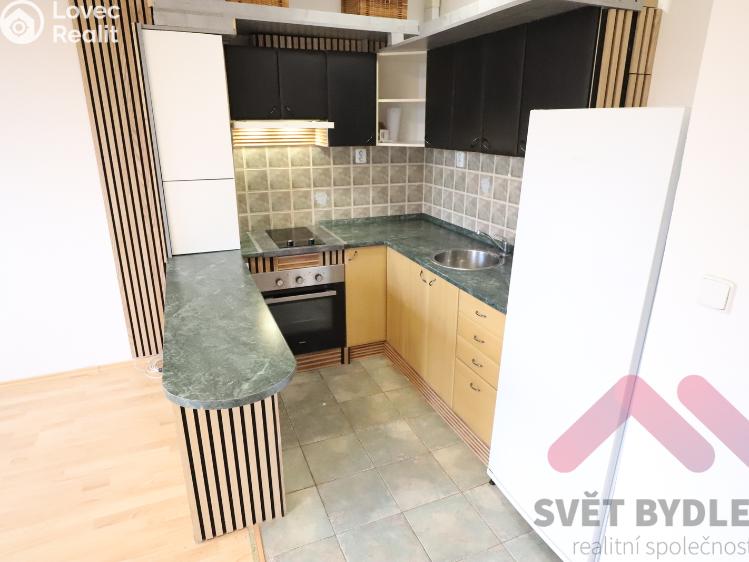 Pronájem bytu 1+KK Jesenice, Mezi Domy 793 č. 3