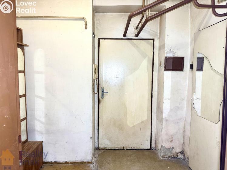 Prodej bytu 1+1 Brno, Pekařská 388/19 č. 10