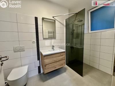 Продажа квартиры 3+KK Polepy č. 5