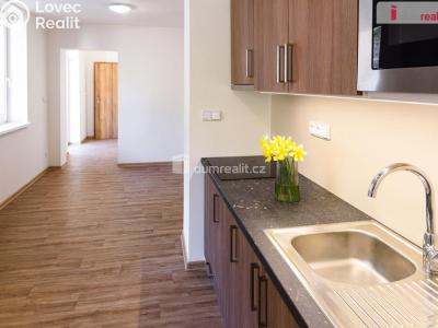 Продаж квартири 2+KK Všemina č. 2