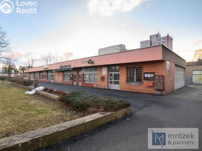 Prodej obchodního prostoru Český Těšín, Slezská 1730 č. 3