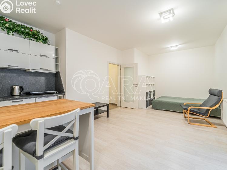 Rent apartment 1+KK Praha, U Mlýnského kanálu 696/12 č. 3