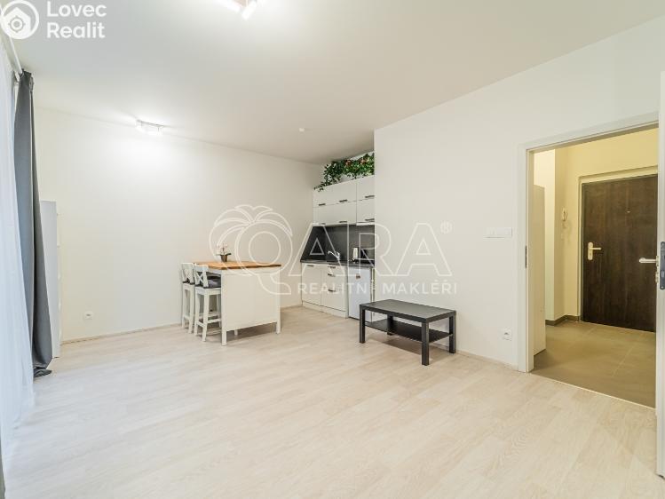 Rent apartment 1+KK Praha, U Mlýnského kanálu 696/12 č. 6