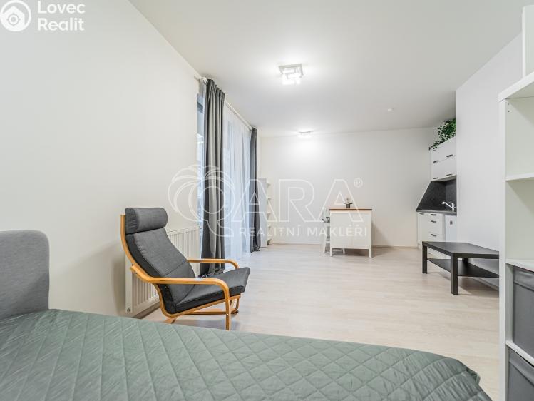 Rent apartment 1+KK Praha, U Mlýnského kanálu 696/12 č. 7