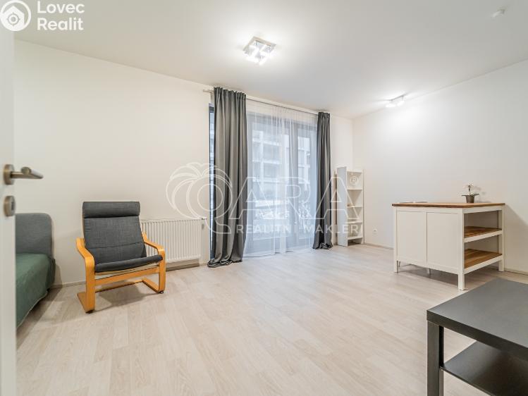 Rent apartment 1+KK Praha, U Mlýnského kanálu 696/12 č. 8