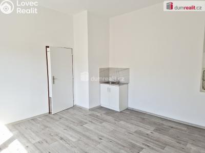 Pronájem komerční nemovitosti České Budějovice, Na Zlaté stoce č. 3