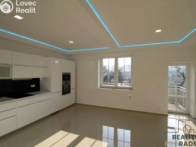 Аренда квартиры 4+KK Praha, Plzeňská č. 5