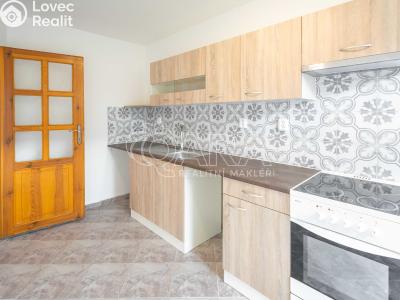 Pronájem bytu 2+1 Ovčáry č. 1