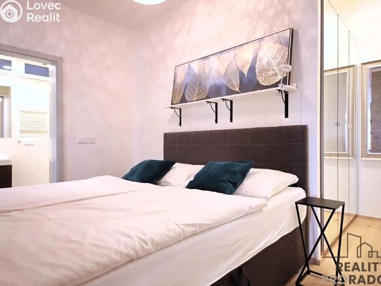 Rent apartment 1+KK Praha, Wuchterlova č. 6