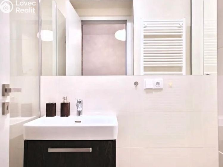 Rent apartment 1+KK Praha, Wuchterlova č. 8