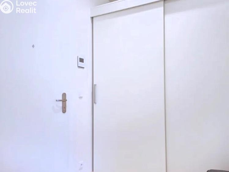 Rent apartment 1+KK Praha, Wuchterlova č. 11