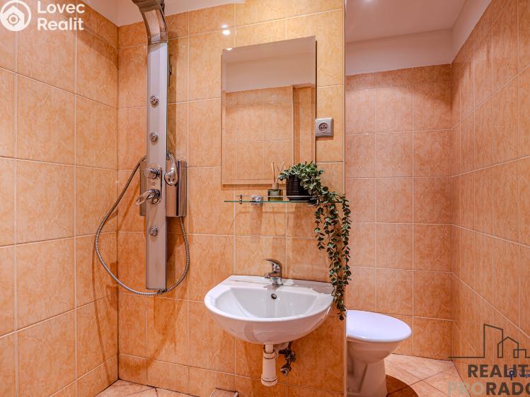 Продажа квартиры 1+1 Ostrava, Šalamounská 3015/4 č. 4