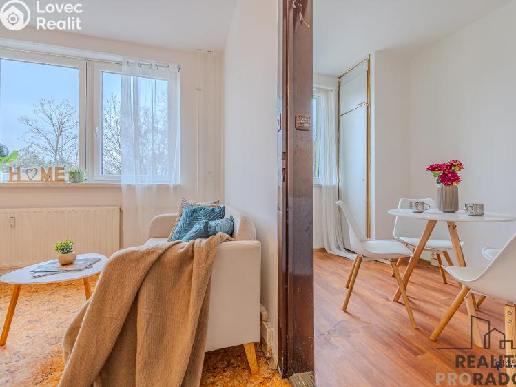 Продажа квартиры 1+1 Ostrava, Šalamounská 3015/4 č. 14