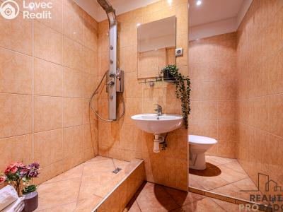 Prodej bytu 1+1 Ostrava, Šalamounská č. 5