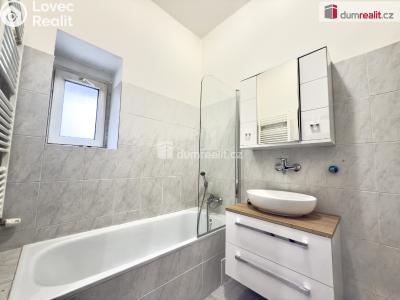 Rent apartment 2+1 Ústí nad Labem, Palachova č. 3