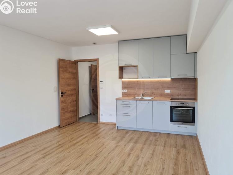 Pronájem bytu 1+KK Srubec, Do Mladého 1300 č. 1