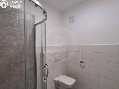 Pronájem bytu 1+KK Srubec, Do Mladého 1300 č. 3