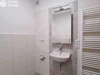 Pronájem bytu 1+KK Srubec, Do Mladého 1300 č. 4