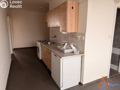 Pronájem bytu 2+1 Chomutov, Školní pěšina č. 1