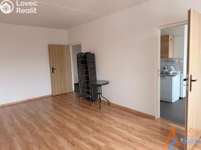 Pronájem bytu 2+1 Chomutov, Školní pěšina č. 5