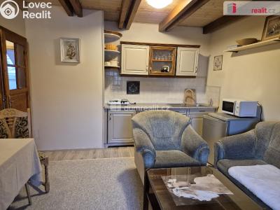 Pronájem bytu 2+1 Kamenný Újezd č. 1