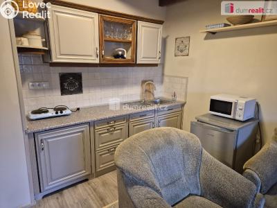 Pronájem bytu 2+1 Kamenný Újezd č. 2